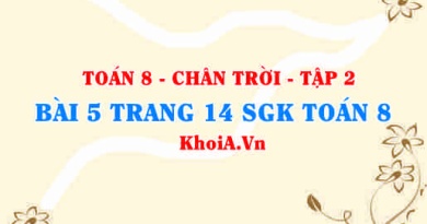 Bài 5 trang 14 Toán 8 Chân trời sáng tạo Tập 2